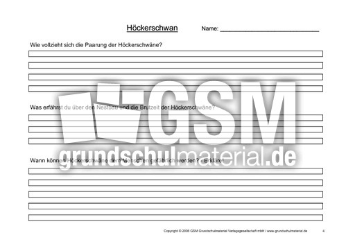 Arbeitsblatt-Höckerschwäne-4.pdf